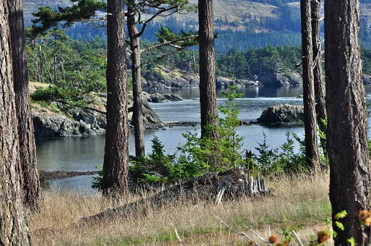 shoreline